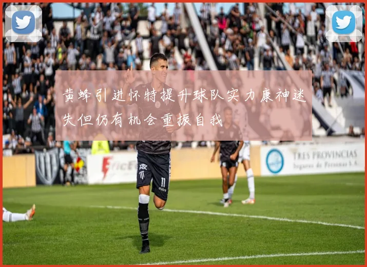 黄蜂引进怀特提升球队实力康神迷失但仍有机会重振自我