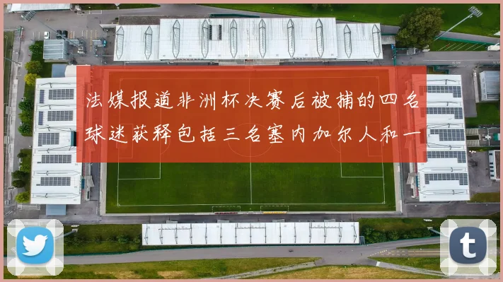 法媒报道非洲杯决赛后被捕的四名球迷获释包括三名塞内加尔人和一名法国人