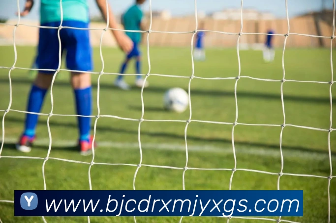 九游版官网入口APP 高清赛事图